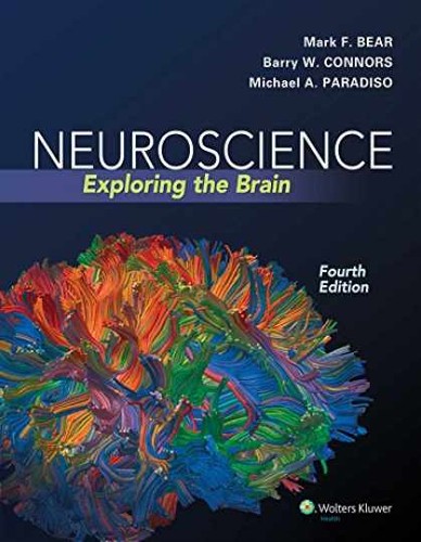 Neuroscience exploring the - exploring,