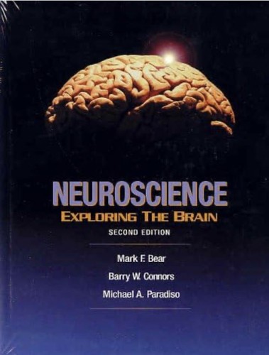 Neuroscience exploring the - exploring,