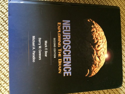 Neuroscience exploring the - exploring,