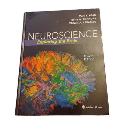 Neuroscience exploring the - exploring,